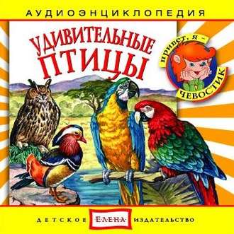 Обложка книги «Удивительные птицы»