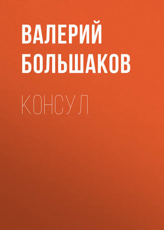 Валерий Петрович Большаков. Консул