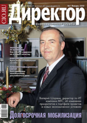 Обложка книги «Директор информационной службы №01/2010»