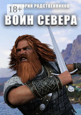 Обложка книги «Воин Севера. Сборник остросюжетных рассказов»