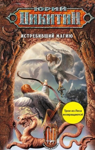 Обложка книги «Истребивший магию»