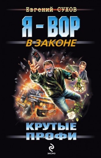 Обложка книги «Крутые профи»