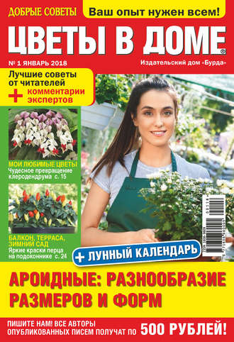 Обложка книги «Добрые советы. Цветы в доме. №01/2018»