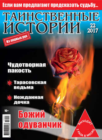 Обложка книги «Таинственные истории №22/2017»