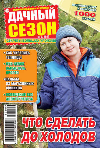 Обложка книги «Дачный сезон №09/2017»