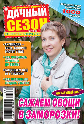 Обложка книги «Дачный сезон №10/2017»