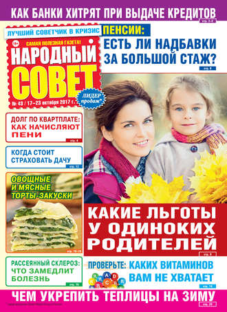 Обложка книги «Народный совет №43/2017»