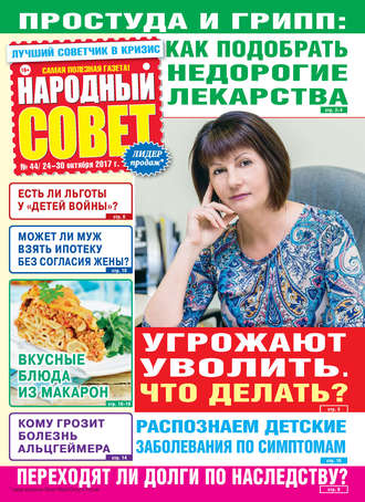 Обложка книги «Народный совет №44/2017»