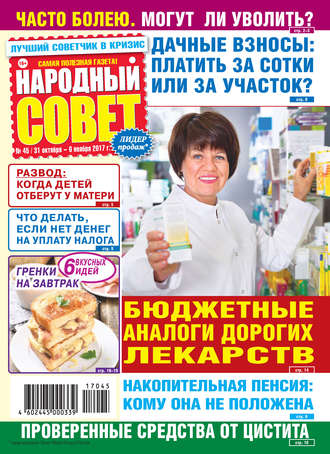 Обложка книги «Народный совет №45/2017»