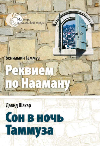 Обложка книги «Сон в ночь Таммуза»