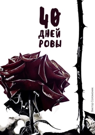 Обложка книги «40 дней ровы»