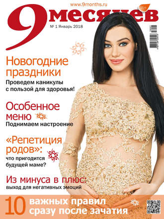 Обложка книги «9 месяцев №1/2018»
