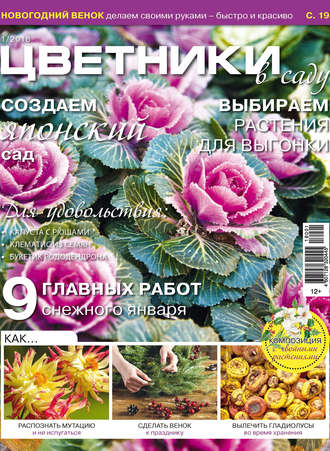 Обложка книги «Цветники в саду №1/2018»