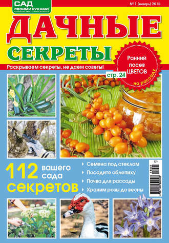 Обложка книги «Сад своими руками. Дачные секреты №1/2018»