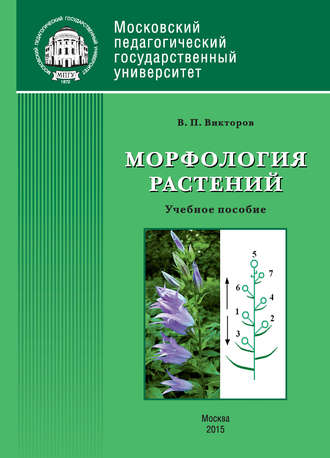 Обложка книги «Морфология растений»