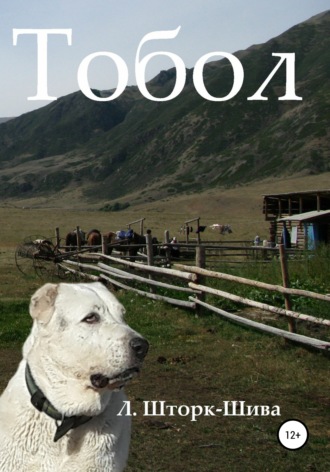 Обложка книги «Тобол»