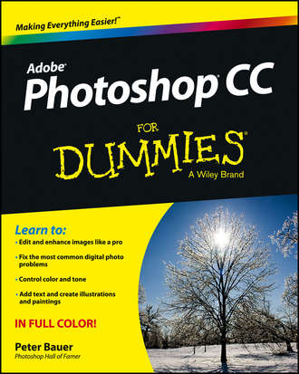 Peter  Bauer. Photoshop CC For Dummies