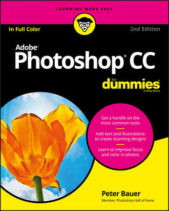 Peter  Bauer. Photoshop CC For Dummies