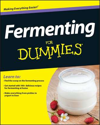 Amelia  Jeanroy. Fermenting For Dummies