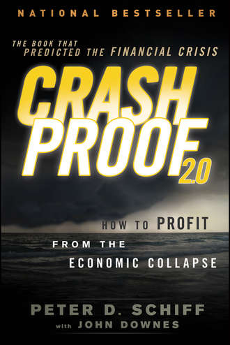 John  Downes. Crash Proof 2.0. How to Profit From the Economic Collapse