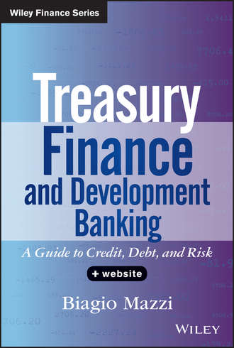 Biagio  Mazzi. Treasury Finance and Development Banking. A Guide to Credit, Debt, and Risk