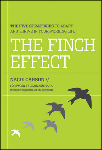 Nacie  Carson. The Finch Effect. The Five Strategies to Adapt and Thrive in Your Working Life