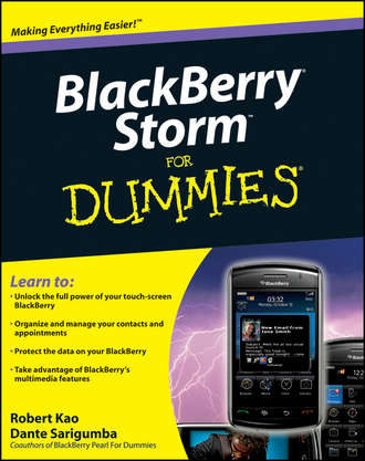 Robert  Kao. BlackBerry Storm For Dummies