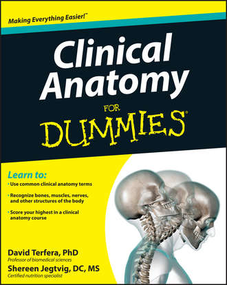 Shereen  Jegtvig. Clinical Anatomy For Dummies