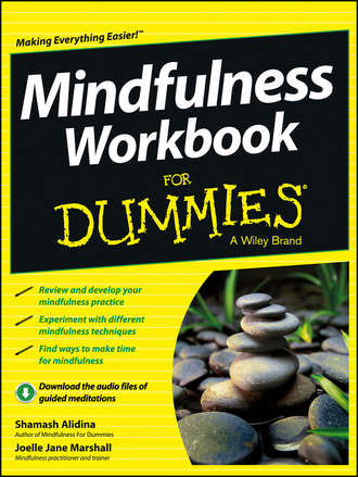 Shamash  Alidina. Mindfulness Workbook For Dummies