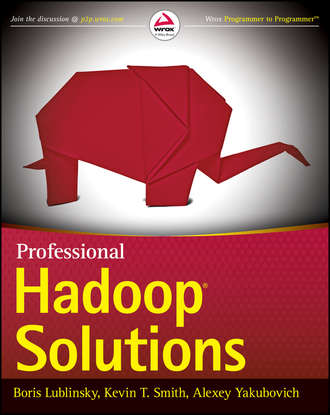 Boris  Lublinsky. Professional Hadoop Solutions