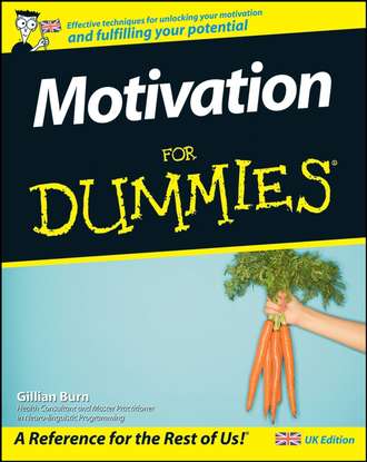 Gillian  Burn. Motivation For Dummies