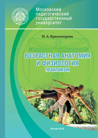 Обложка книги «Возрастная анатомия и физиология. Практикум»