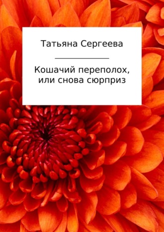 Обложка книги «Кошачий переполох, или Снова сюрприз»