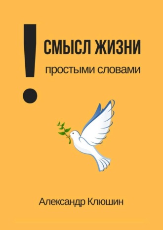 Обложка книги «Смысл жизни простыми словами»