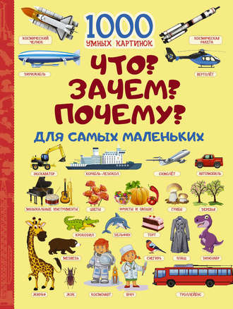 Обложка книги «Что? Зачем? Почему? Для самых маленьких»