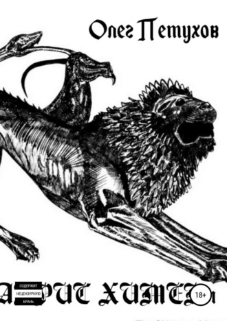 Обложка книги «Абрис химеры. Сборник стихов»