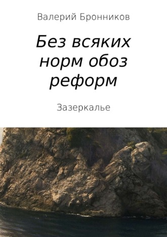 Валерий Викторович Бронников. Вне всяких норм обоз реформ, или Зазеркалье