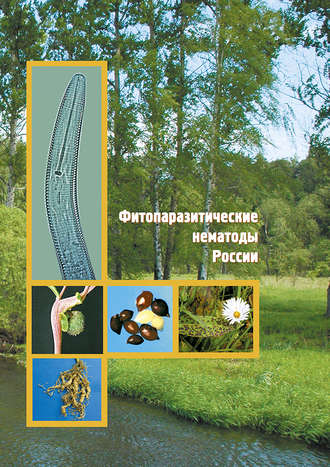 Обложка книги «Фитопаразитические нематоды России»