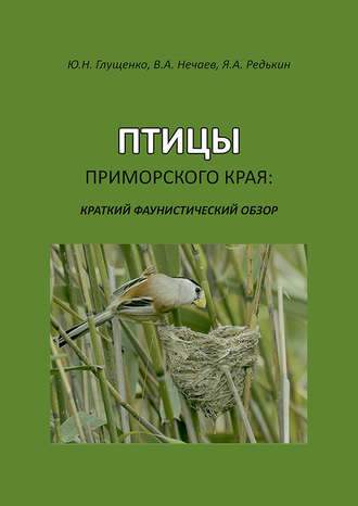 Обложка книги «Птицы Приморского края: краткий фаунистический обзор»