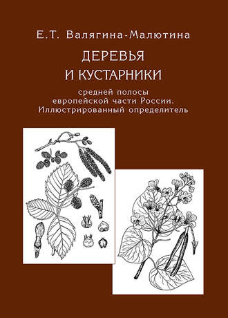 Обложка книги «Деревья и кустарники средней полосы европейской части России. Иллюстрированный определитель»
