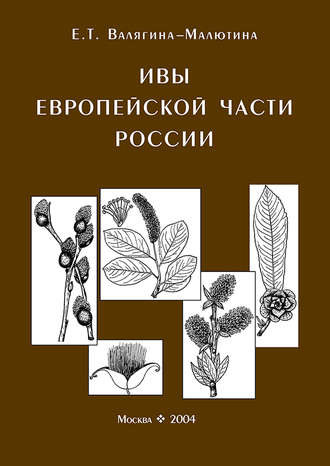 Обложка книги «Ивы европейской части России. Иллюстрированное пособие для работников лесного хозяйства»