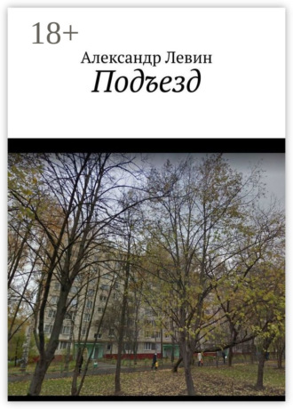 Александр Левин. Подъезд