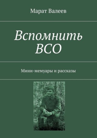 Обложка книги «Вспомнить ВСО. Мини-мемуары и рассказы»