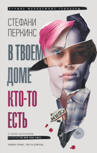 Обложка книги «В твоем доме кто-то есть»