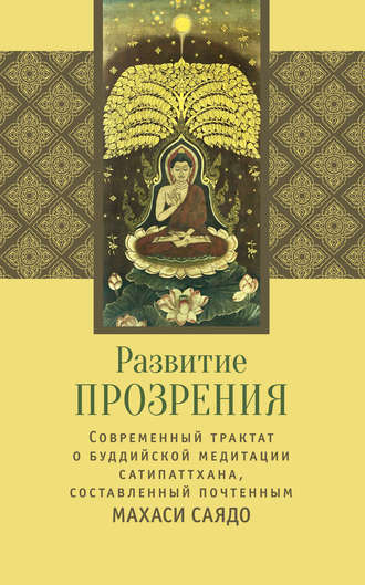 Обложка книги «Развитие прозрения»