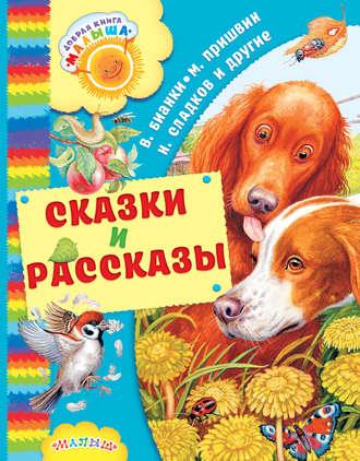 Обложка книги «Сказки и рассказы (сборник)»