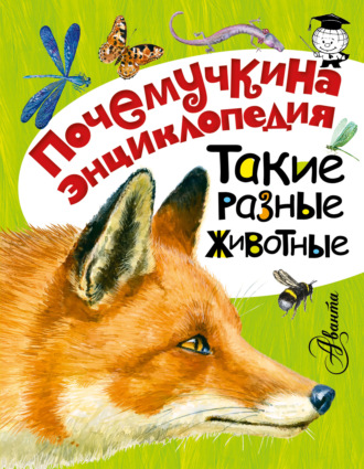 Обложка книги «Такие разные животные»