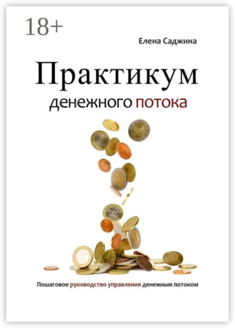 Обложка книги «Практикум денежного потока. Пошаговое руководство управления денежным потоком»