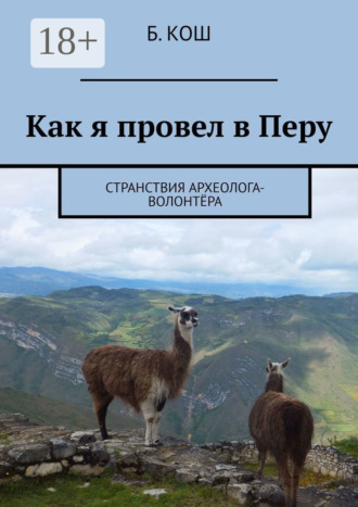 Обложка книги «Как я провел в Перу. Странствия археолога-волонтёра»