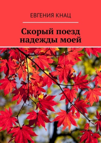 Обложка книги «Скорый поезд надежды моей»